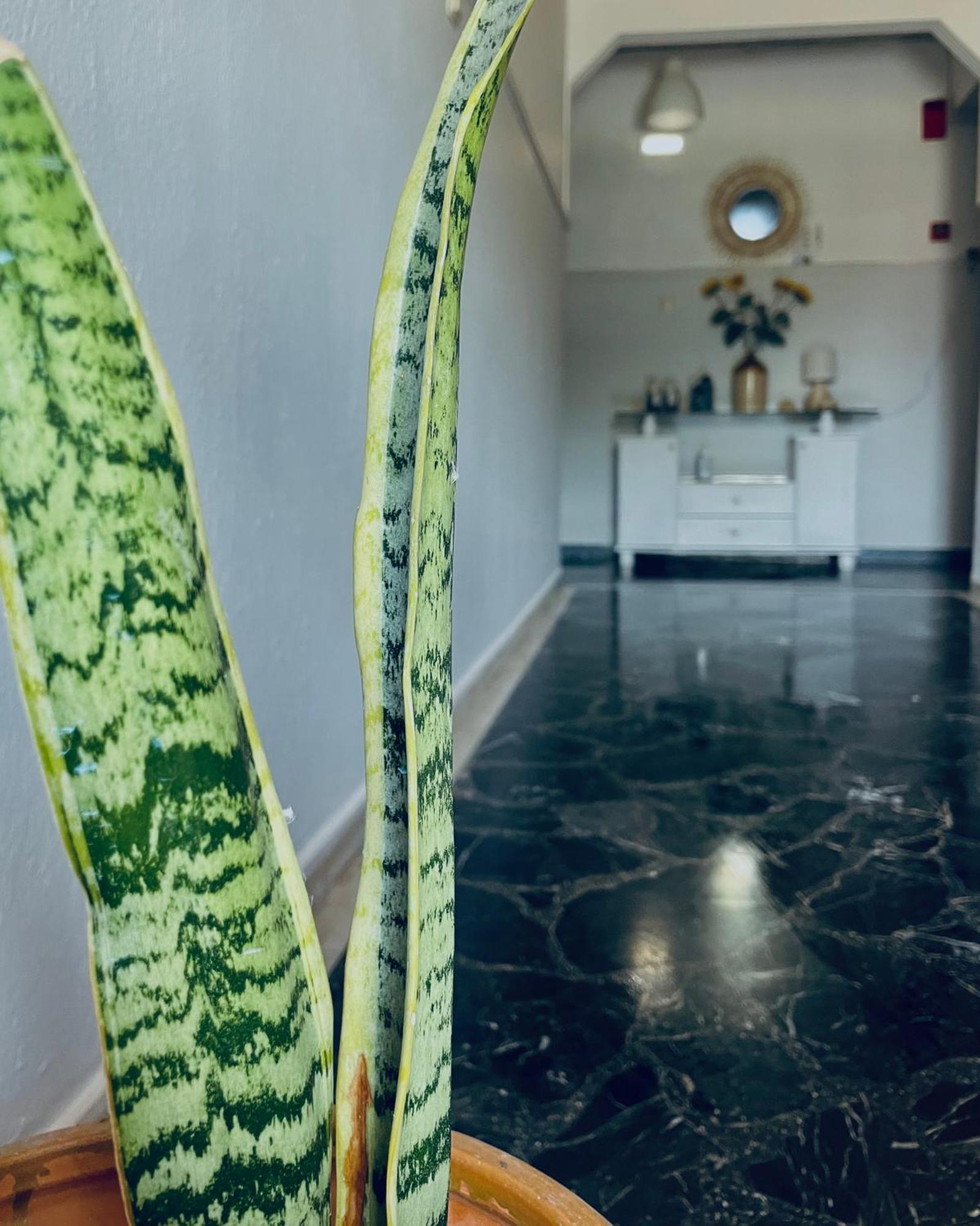 Aktaion Hotel Skala Alykis 외부 사진