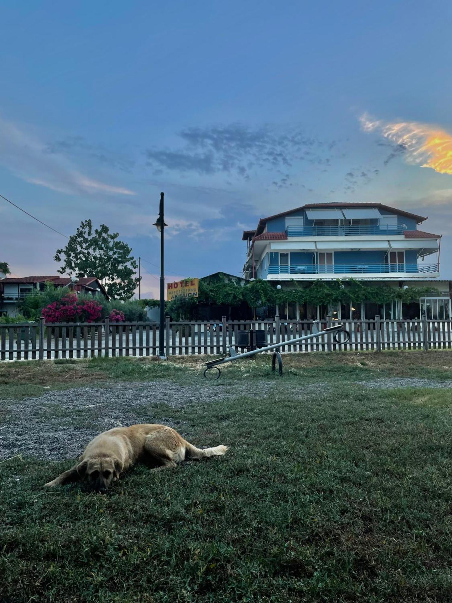 Aktaion Hotel Skala Alykis 외부 사진