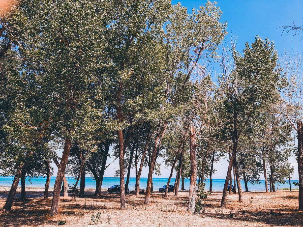 Aktaion Hotel Skala Alykis 외부 사진