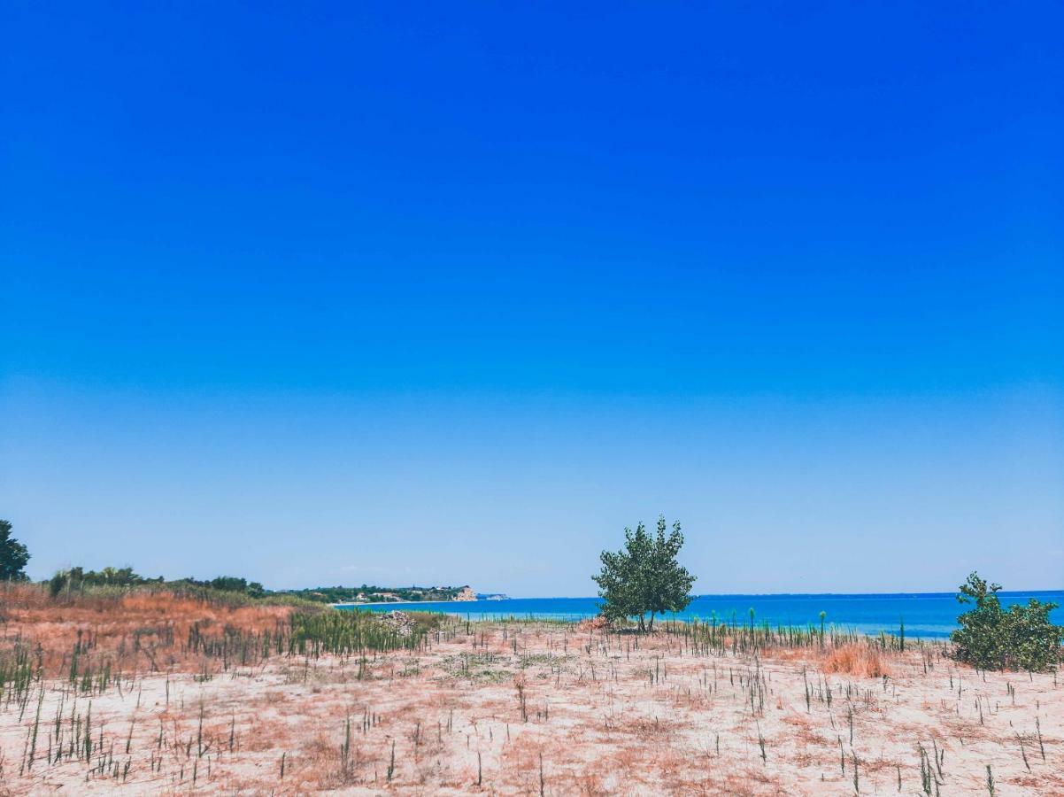 Aktaion Hotel Skala Alykis 외부 사진